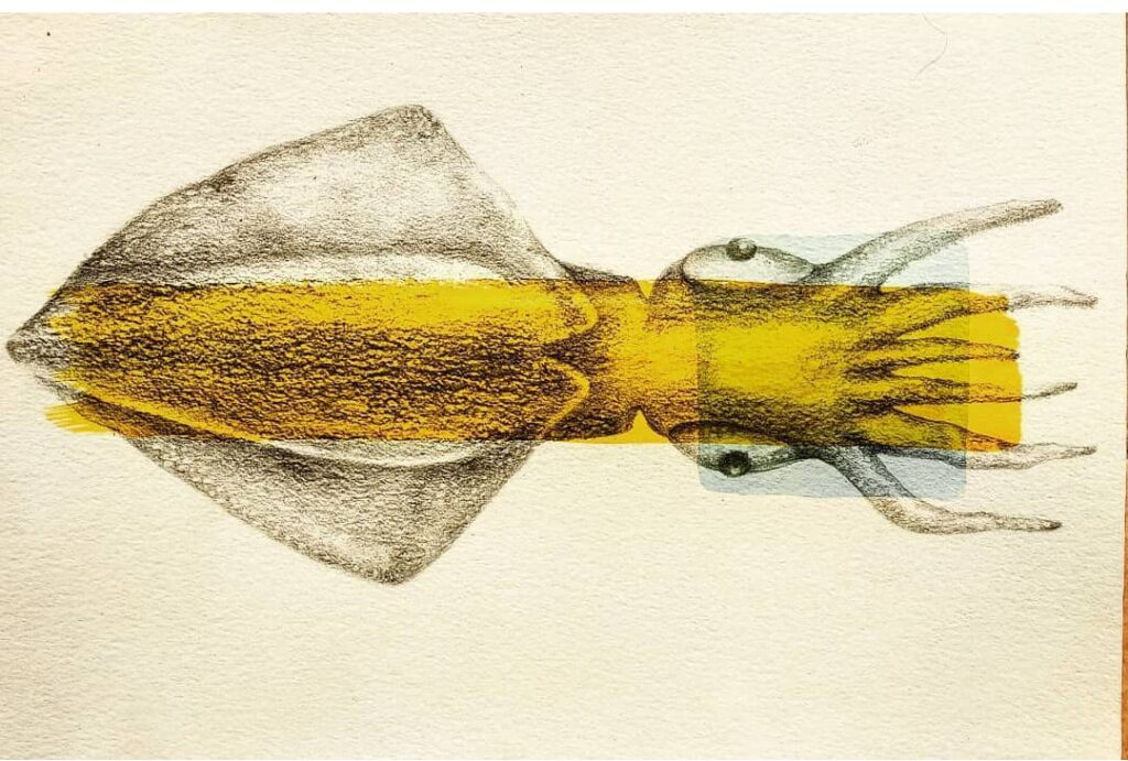 Ilustración de un calamar en tonos amarillos y grises