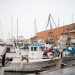 Barcos de pesca en un puerto bajo la lluvia