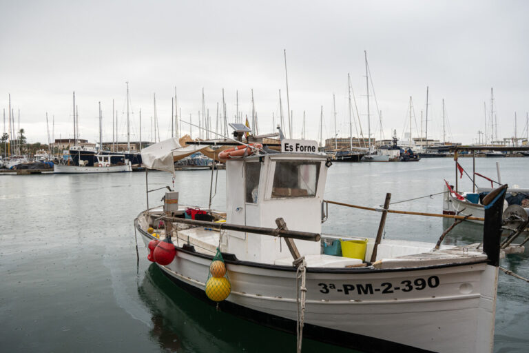 Barco de pesca en un puerto con yates al fondo