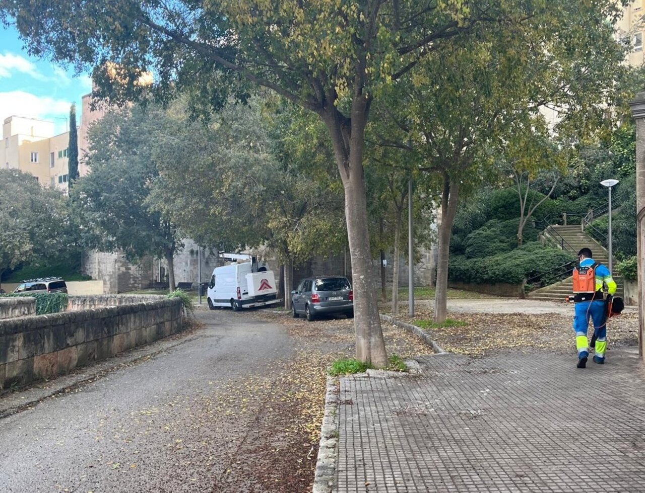Operario de Emaya realizando limpieza en un barrio de Palma