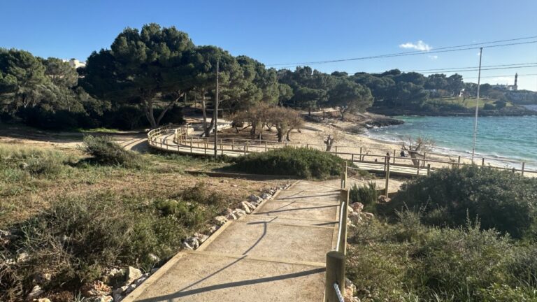 Pasarela de madera junto a la playa de s'Arenal en Portocolom