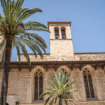 Vista del Palacio Real de La Almudaina con palmera y torre