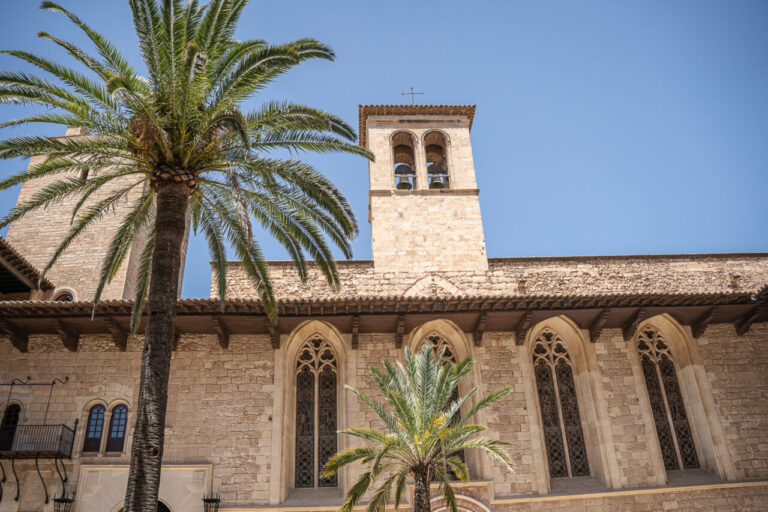Vista del Palacio Real de La Almudaina con palmera y torre