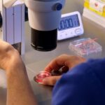 Mujer manipulando muestras en un laboratorio de reproducción asistida