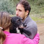 Boro, el perro rescatado tras el accidente ferroviario en Adamuz.