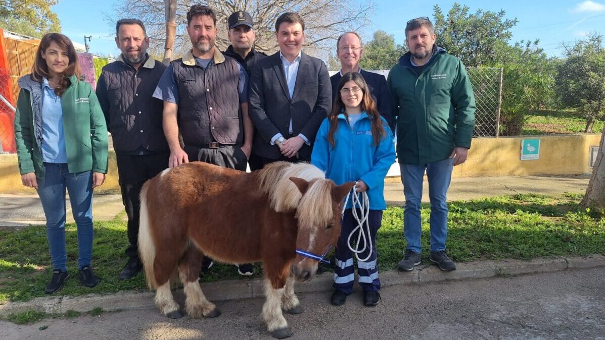 Grupo de personas junto a un poni rescatado en Palma