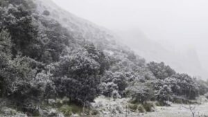 Vista de la primera nevada en la Serra de Tramuntana, Mallorca.
