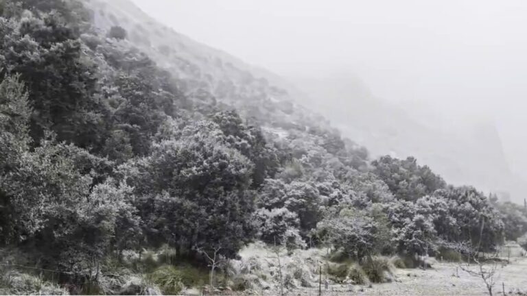 Vista de la primera nevada en la Serra de Tramuntana, Mallorca.