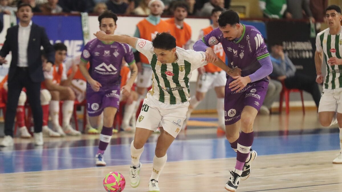Jugadores de futsal compiten en un partido entre C&oacute;rdoba y Illes Balears Palma.
