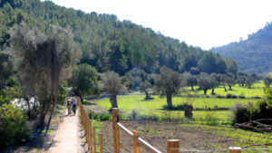 Sendero en Calvi&agrave; rodeado de naturaleza y vegetaci&oacute;n