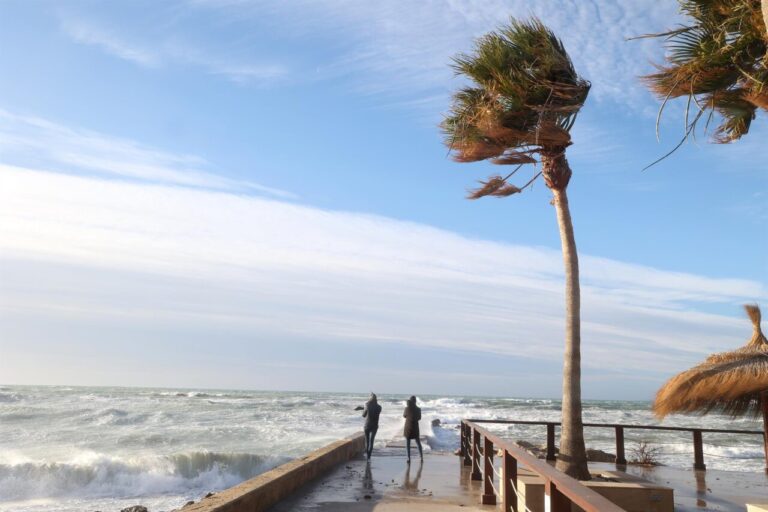 Personas observando el mar agitado por el viento fuerte en Mallorca