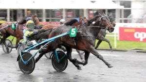 Caballos compitiendo en una carrera de trote en Mallorca