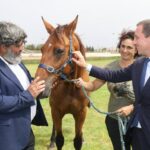 Tres personas interactuando con un caballo en un hip&oacute;dromo