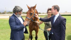 Tres personas interactuando con un caballo en un hip&oacute;dromo