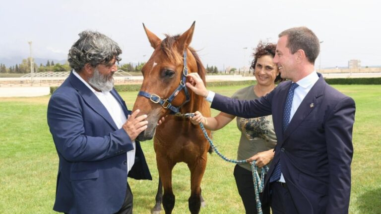 Tres personas interactuando con un caballo en un hip&oacute;dromo