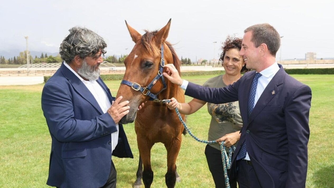 Tres personas interactuando con un caballo en un hip&oacute;dromo