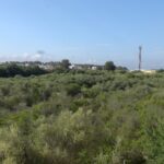 Vista de la vegetaci&oacute;n y paisaje en la V&iacute;a Verde de Marratx&iacute;