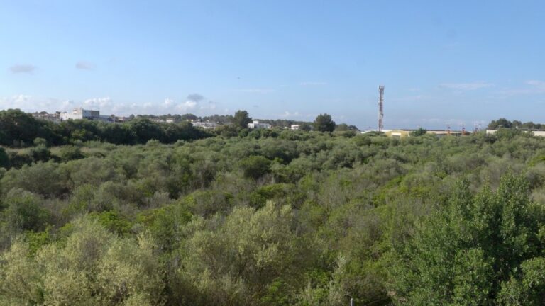Vista de la vegetaci&oacute;n y paisaje en la V&iacute;a Verde de Marratx&iacute;