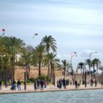 Personas volando cometas en el Parc de la Mar en Palma