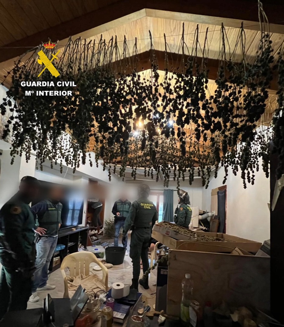 Operativos de la Guardia Civil en un laboratorio de hach&iacute;s con marihuana