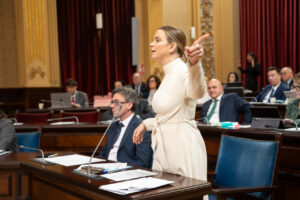 Una mujer hablando en el parlamento mientras otros escuchan atentamente.