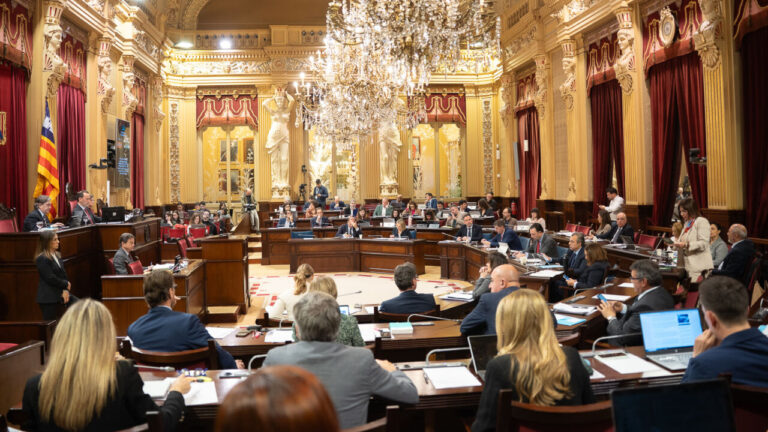 Interior del Parlament durante una sesi&oacute;n plenaria con diputados presentes.