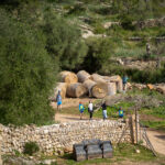 Grupo de personas caminando por un sendero en la Sierra de Tramuntana