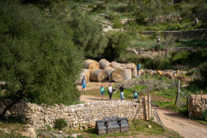 Grupo de personas caminando por un sendero en la Sierra de Tramuntana