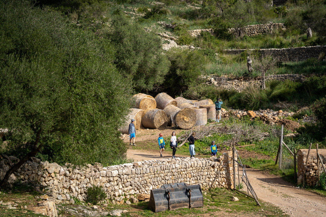Grupo de personas caminando por un sendero en la Sierra de Tramuntana