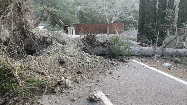 La ca&iacute;da de un &aacute;rbol obliga a cortar la carretera entre G&eacute;nova y Calvi&agrave;
