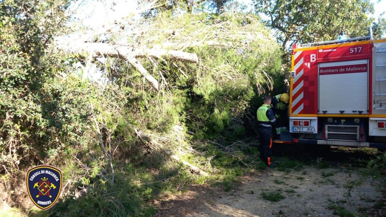 Bomberos de Mallorca atendiendo incidentes tras la borrasca Nils