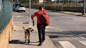 Encuentran en buen estado de salud al anciano desaparecido en Porreres