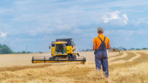Agricultor observando maquinaria en un campo de trigo