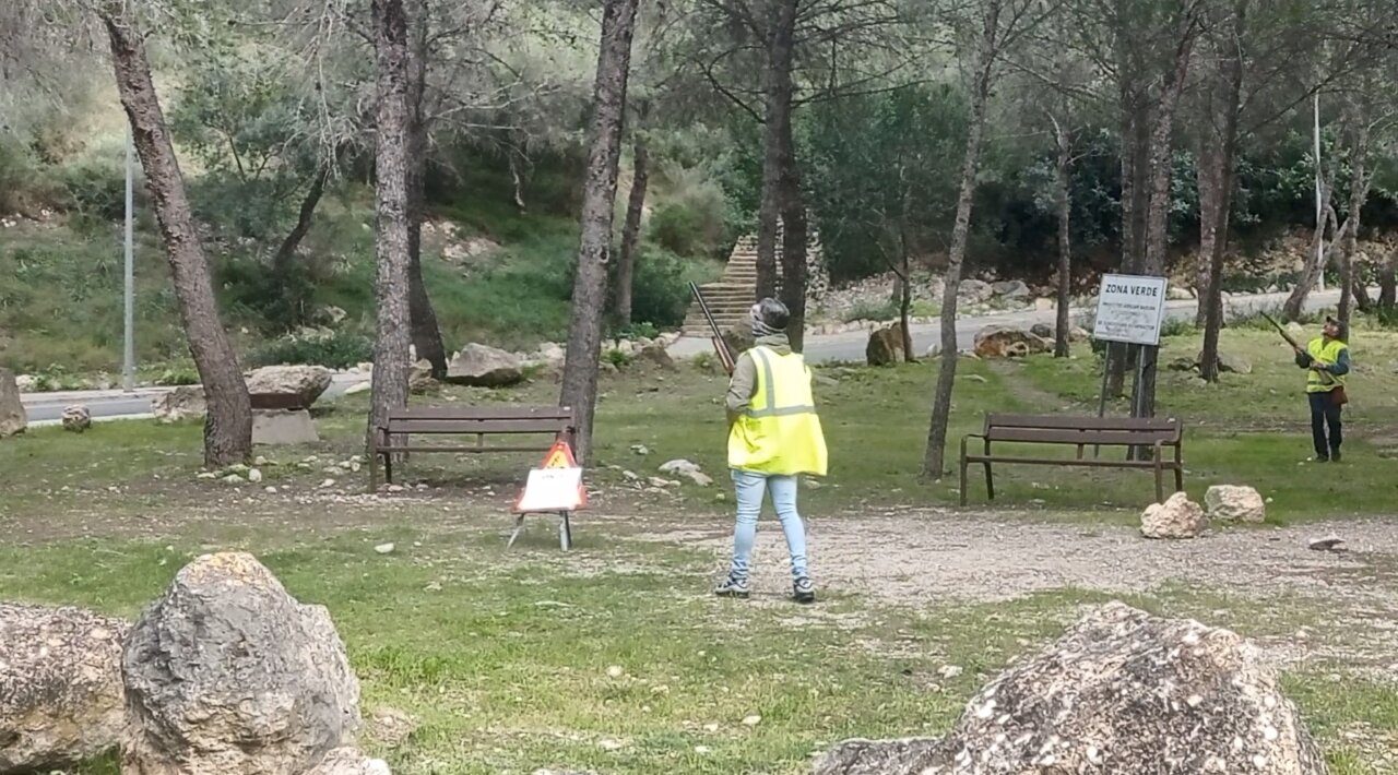 Personas trabajando en la lucha contra la procesionaria en Calvi&agrave;