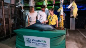 Tres personas observan un modelo de delf&iacute;n en Palma Aquarium