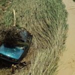 Coche dañado por inundaciones y vegetación en un campo