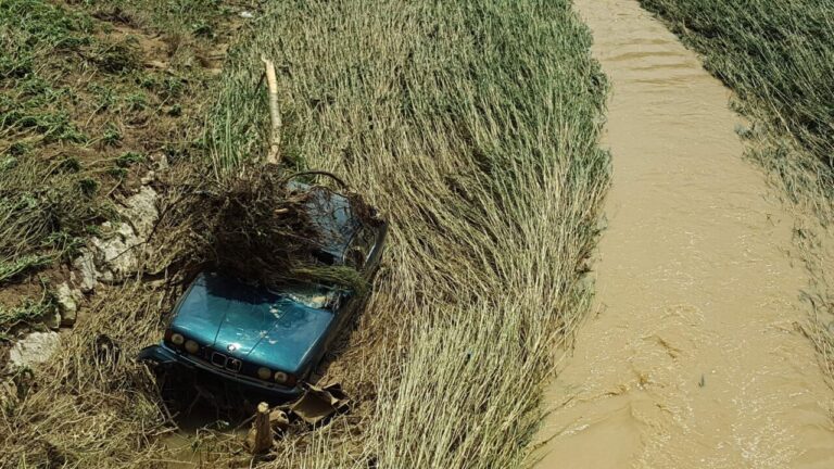 Coche dañado por inundaciones y vegetación en un campo
