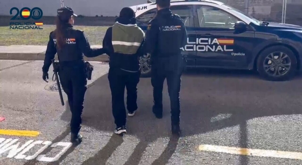 Agentes de la Polic&iacute;a Nacional deteniendo a un sospechoso en Manacor