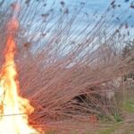 Incendio en el Parque Natural de s'Albufera con un agente de la Guardia Civil