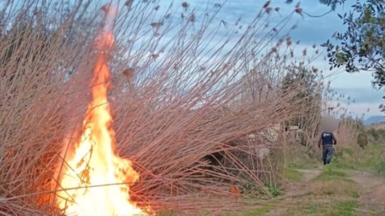 Incendio en el Parque Natural de s'Albufera con un agente de la Guardia Civil