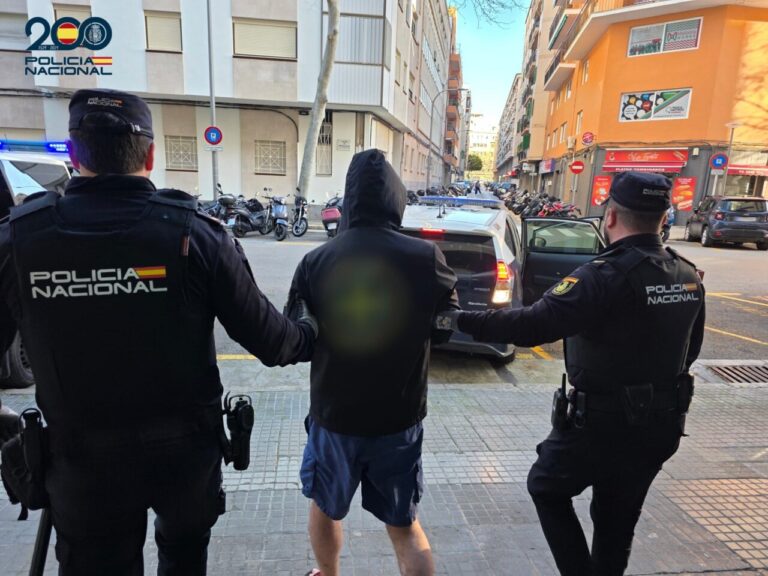 Detenci&oacute;n de un sospechoso por la Polic&iacute;a Nacional en Son Banya