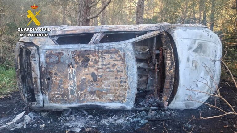 Cuatro menores roban un coche en Palma y lo dejan calcinado en Esporles