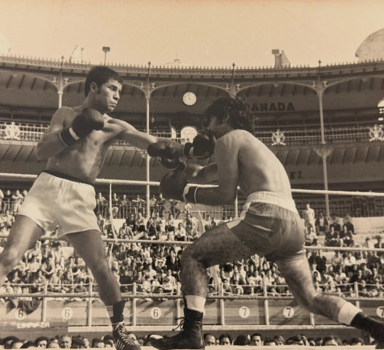 David Bisbal en un evento musical, recordando a su padre.