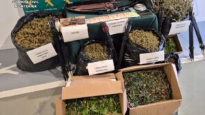 Incautan 50 kilos de marihuana y desarticulan un laboratorio de hach&iacute;s en Marratx&iacute;