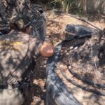 Agente de medio ambiente inspeccionando viveros en Baleares