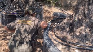 Agente de medio ambiente inspeccionando viveros en Baleares