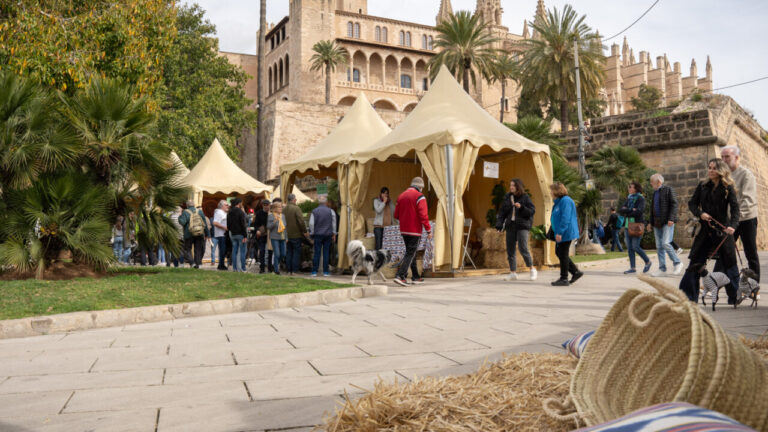 Puestos del mercado en el Día de les Illes Balears con gente y palmeras