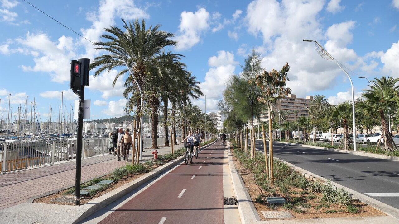 Vista del nuevo paseo mar&iacute;timo en Palma con palmeras y ciclistas