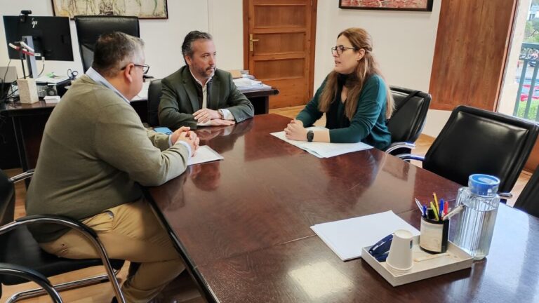 El alquiler tur&iacute;stico, preocupado por la limitaci&oacute;n de la entrada de veh&iacute;culos a Mallorca