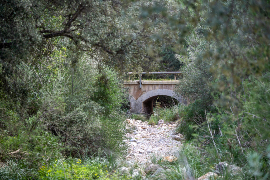 Puente en la Sierra de Tramuntana rodeado de vegetaci&oacute;n